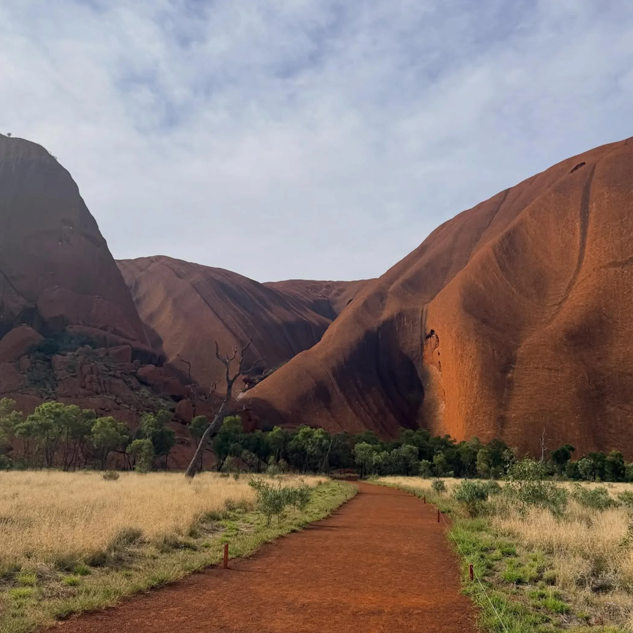 sharp, well-lit uluru photograph